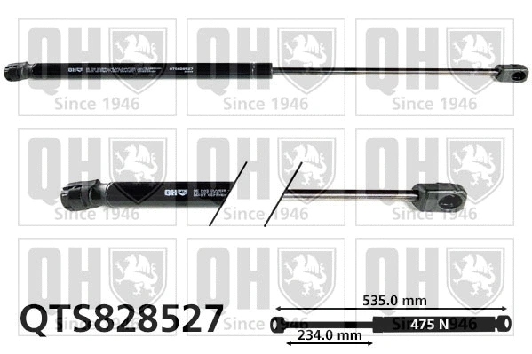 Gas Spring, boot/cargo area (QTS828527)