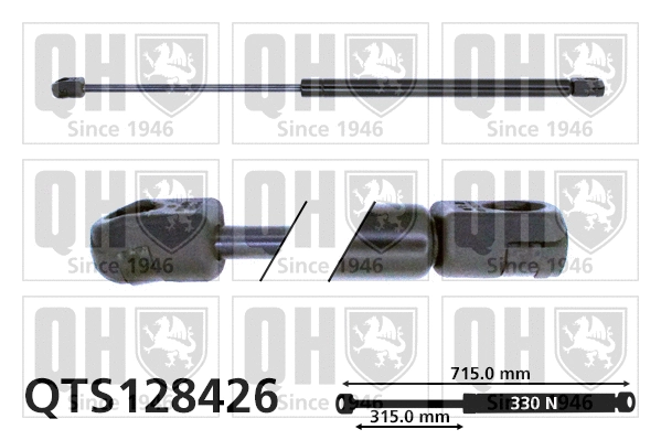 Gas Spring, bonnet (QTS128426)