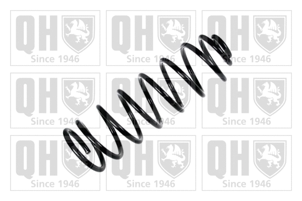Suspension Spring (QCS8253)