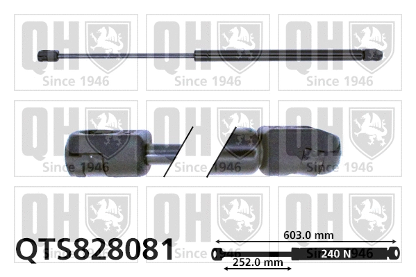 Gas Spring, boot/cargo area (QTS828081)