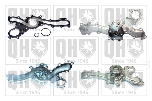 Water Pump, engine cooling (QCP3754)
