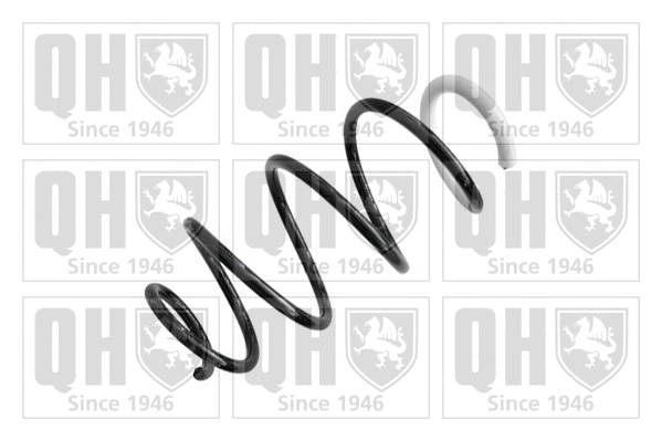 Suspension Spring (QCS6415)