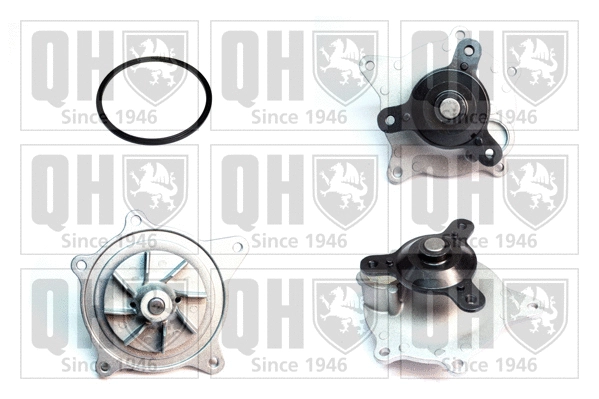 Water Pump, engine cooling (QCP3872)