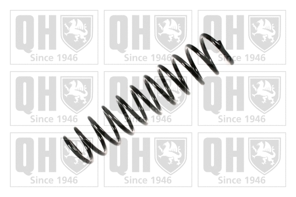 Suspension Spring (QCS7422)