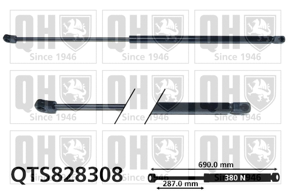 Gas Spring, bonnet (QTS828308)