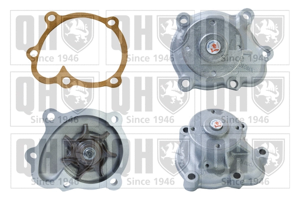 Water Pump, engine cooling (QCP3135)