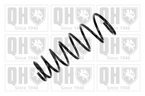 Suspension Spring (QCS5366)