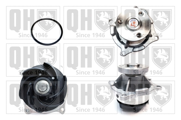 Water Pump, engine cooling (QCP3408)