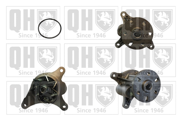 Water Pump, engine cooling (QCP3796)