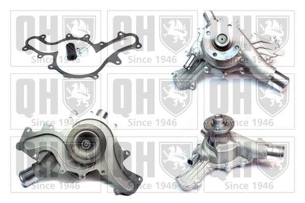 Water Pump, engine cooling (QCP3866)