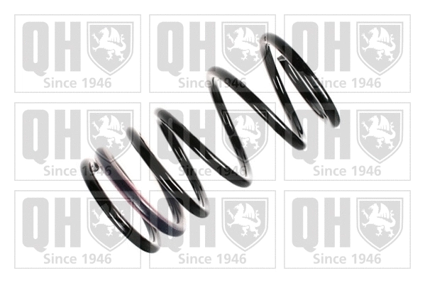 Suspension Spring (QCS5688)