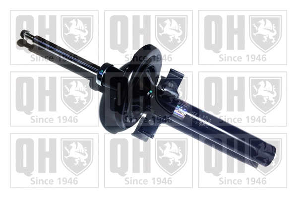 Shock Absorber (QAG178989)