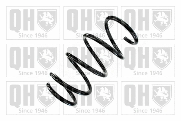 Suspension Spring (QCS9108)