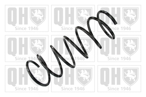 Suspension Spring (QCS5618)