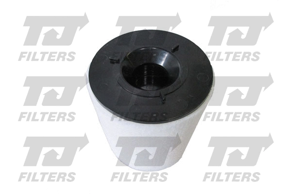 Air Filter (QFA0867)