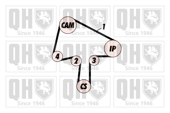 Timing Belt Kit (QBK407)