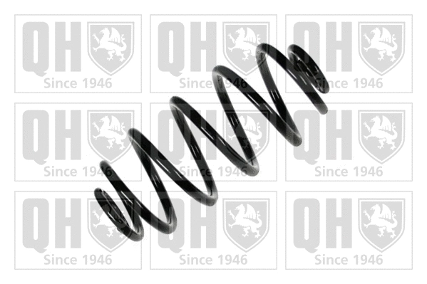 Suspension Spring (QCS6132)