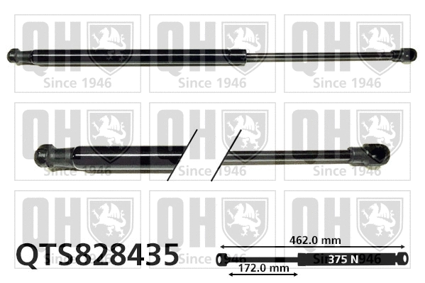 Gas Spring, boot/cargo area (QTS828435)