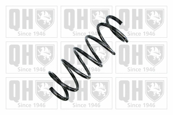Suspension Spring (QCS7521)
