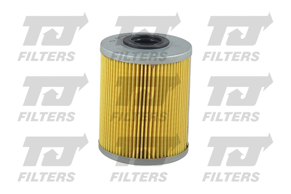 Fuel Filter (QFF0292)