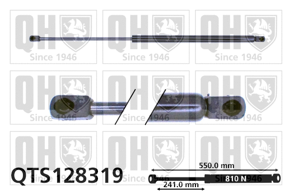 Gas Spring, boot/cargo area (QTS128319)
