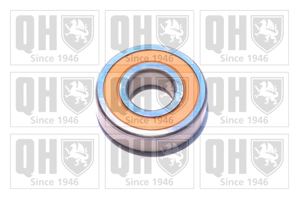 Bearing (XB9929)