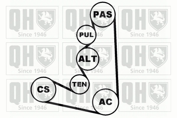 V-Ribbed Belt Set (QDK10)