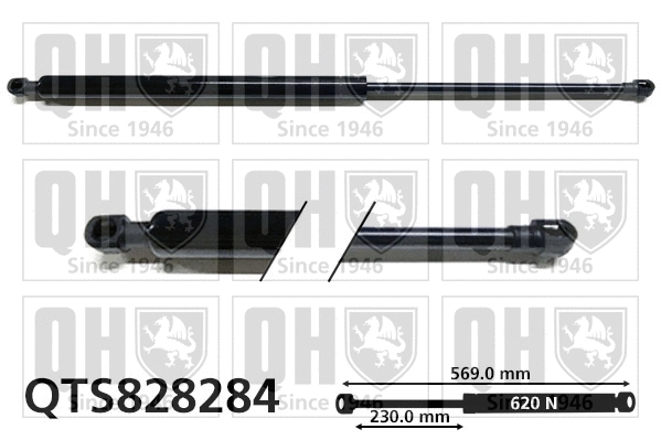 Gas Spring, boot/cargo area (QTS828284)