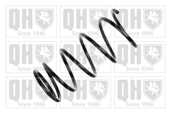 Suspension Spring (QCS6292)