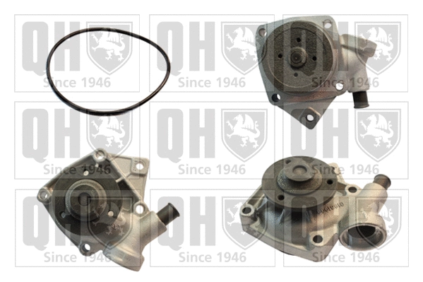 Water Pump, engine cooling (QCP3102)