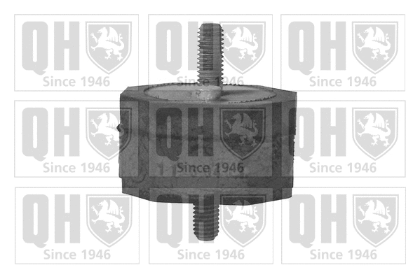 Mounting, engine (EM1721)