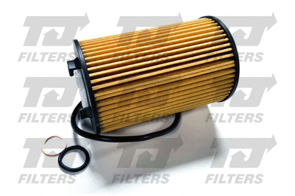 Oil Filter (QFL0397)