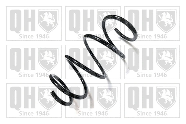 Suspension Spring (QCS8960)