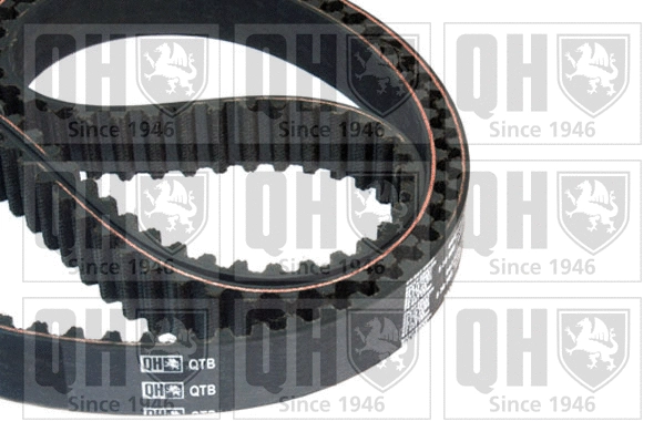 Timing Belt (QTB641)