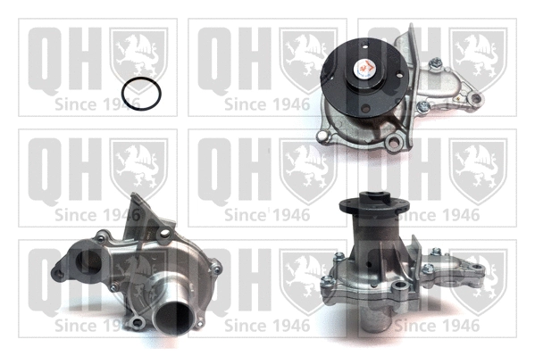 Water Pump, engine cooling (QCP3451)