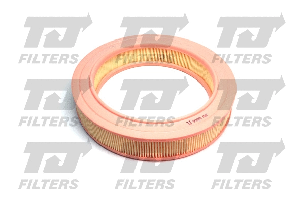 Air Filter (QFA0870)