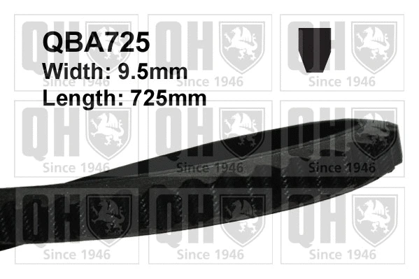 V-Belt (QBA725)