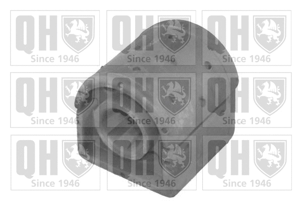 Mounting, control/trailing arm (EMS8061)