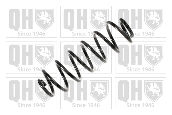 Suspension Spring (QCS7105)