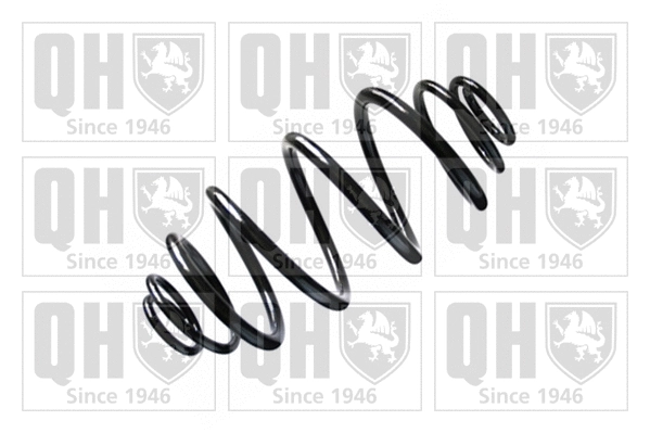 Suspension Spring (QCS5096)