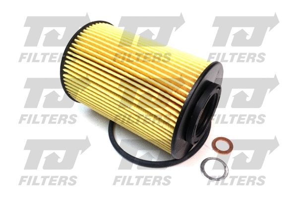 Oil Filter (QFL0253)