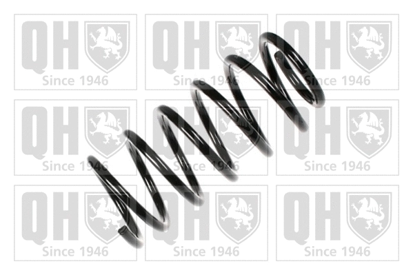 Suspension Spring (QCS6081)
