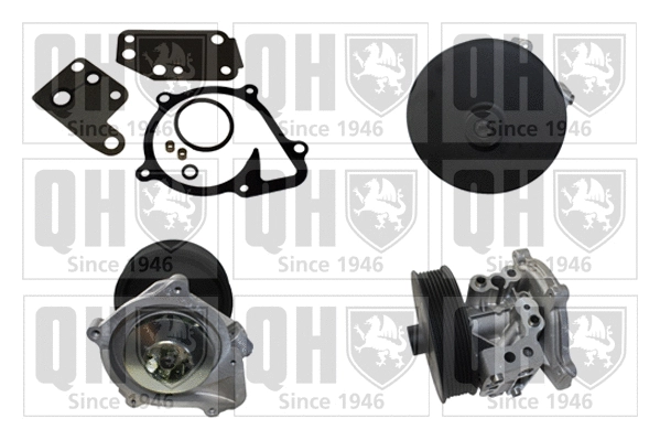 Water Pump, engine cooling (QCP3749)