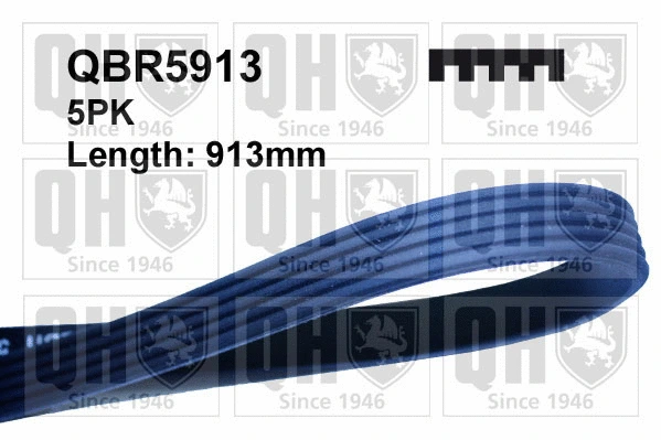 V-Ribbed Belt (QBR5913)