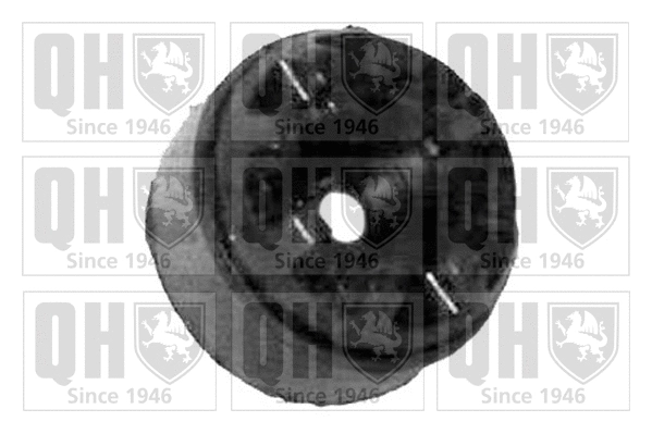 Suspension Strut Support Mount (EMR2309)