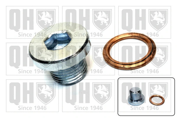 Screw Plug, oil sump (QOC1001)