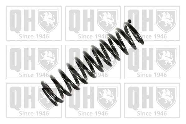 Suspension Spring (QCS6803)