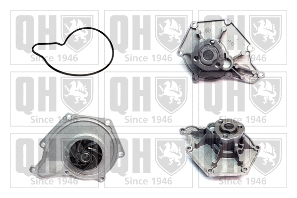 Water Pump, engine cooling (QCP3650)