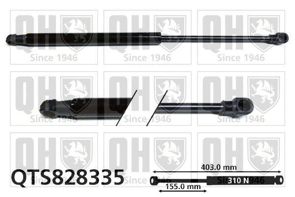 Gas Spring, boot/cargo area (QTS828335)