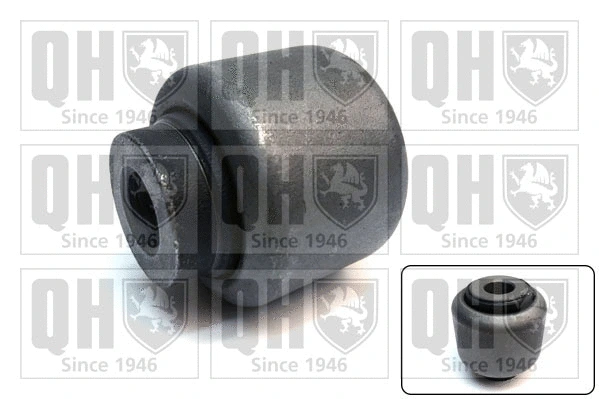 Mounting, control/trailing arm (EMS8586)
